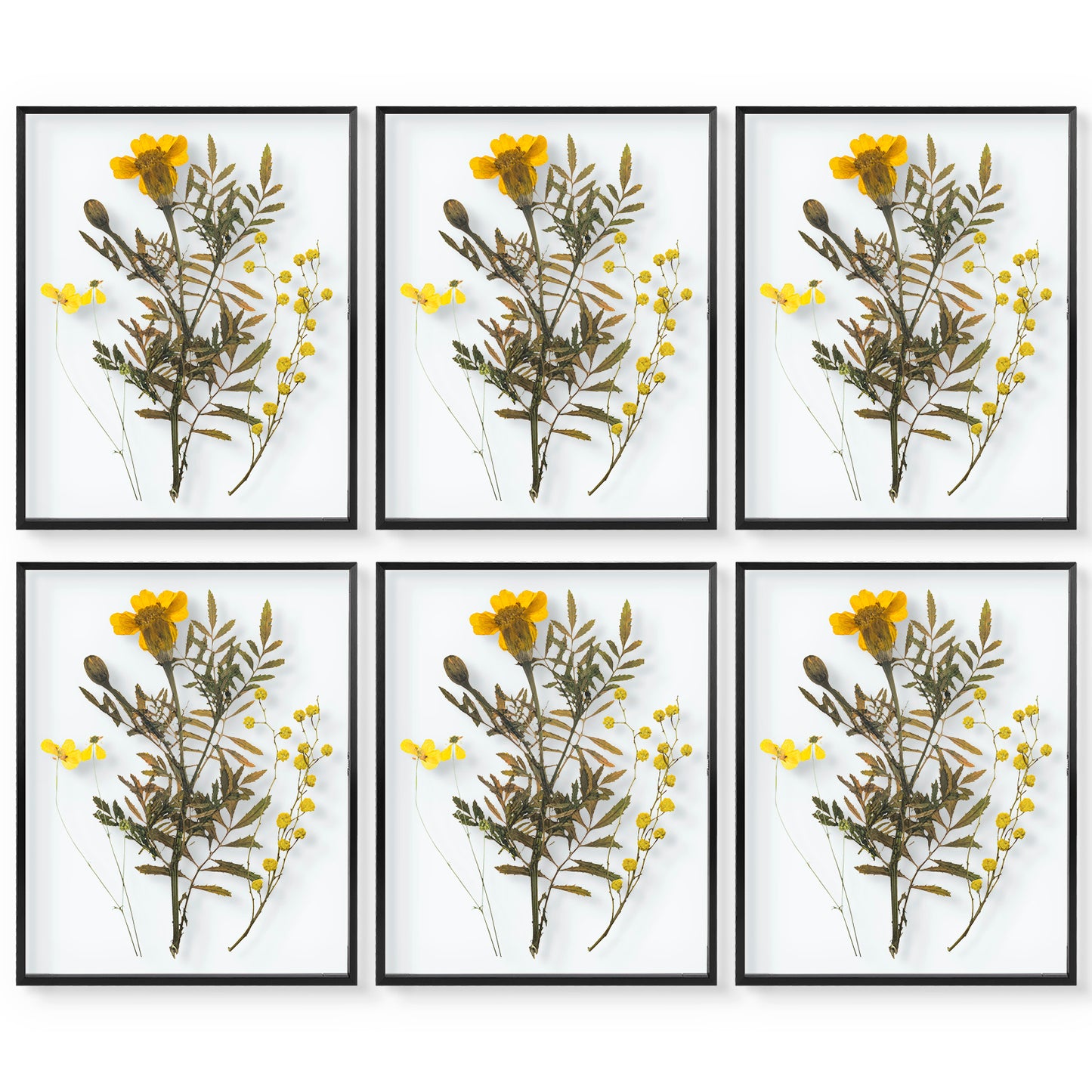 Frametory,16x20 Floating Frame For Any Size Photo Up to 16 by 20 (6 Pack)