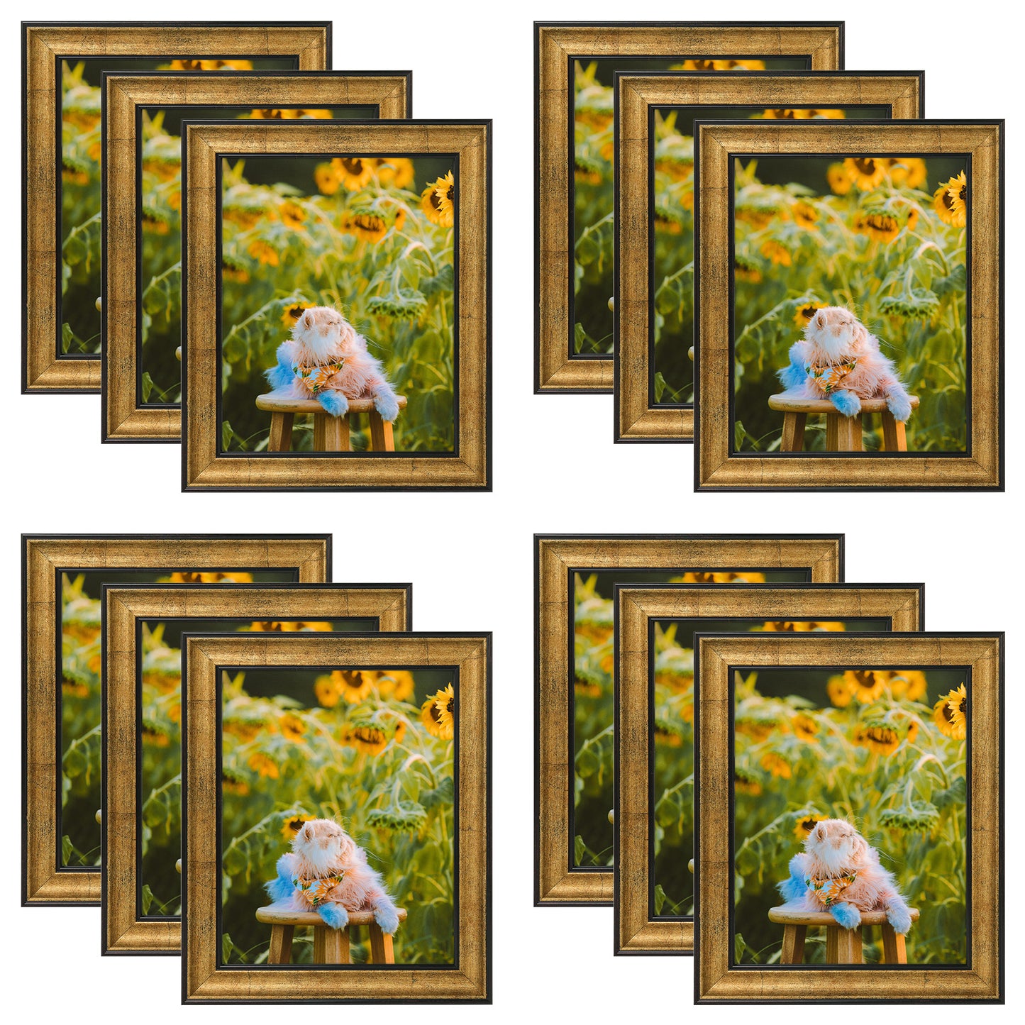 Frametory,8x10 Picture Frame with Real Glass (12 Pack)