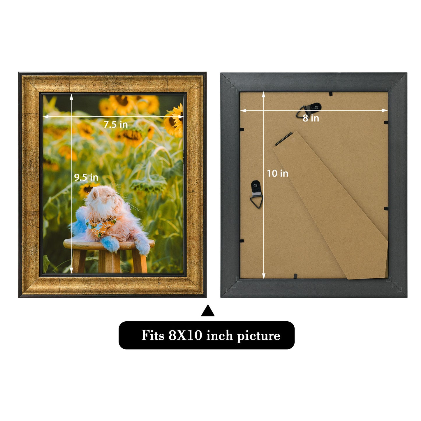 Frametory,8x10 Picture Frame with Real Glass (12 Pack)