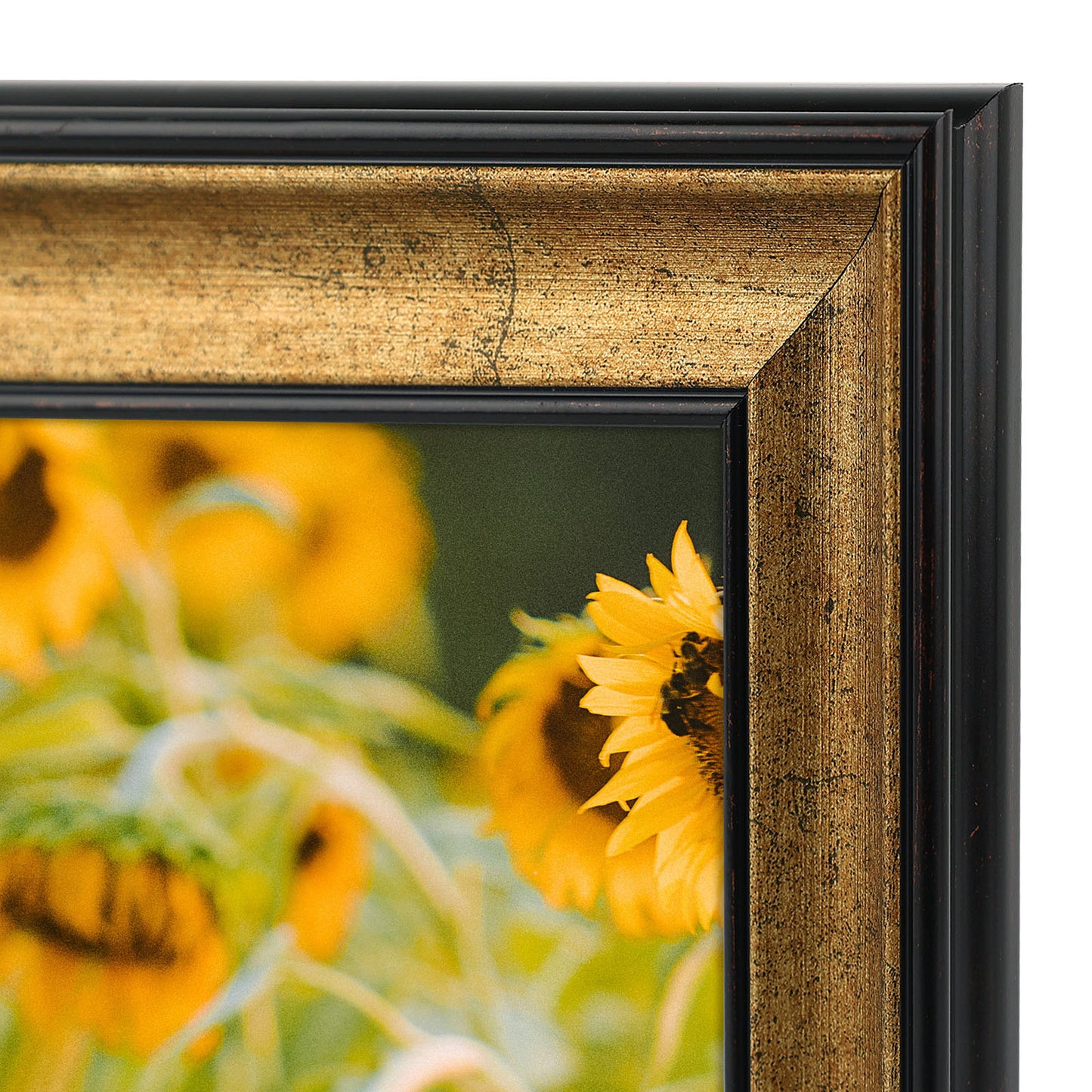 Frametory,8x10 Picture Frame with Real Glass (12 Pack)