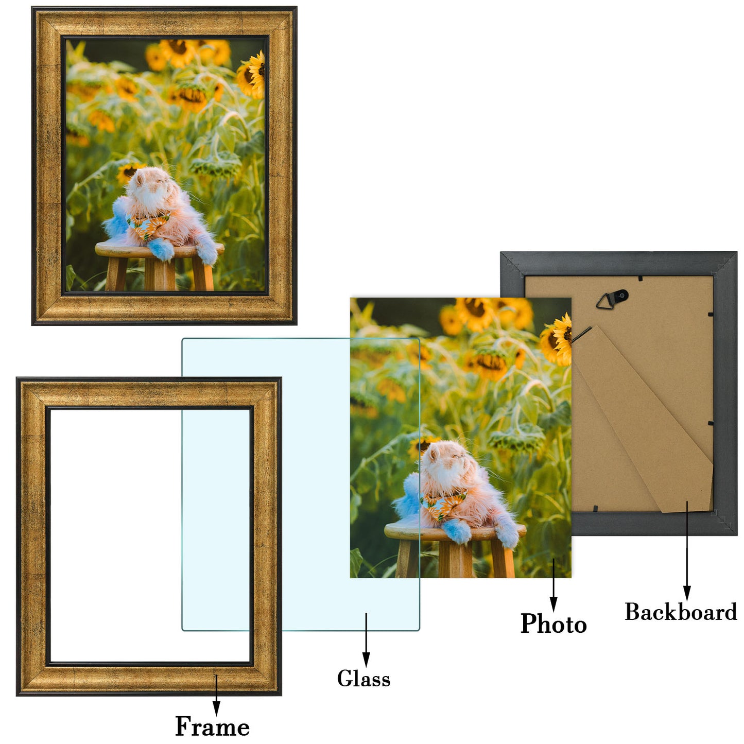 Frametory,8x10 Picture Frame with Real Glass (12 Pack)