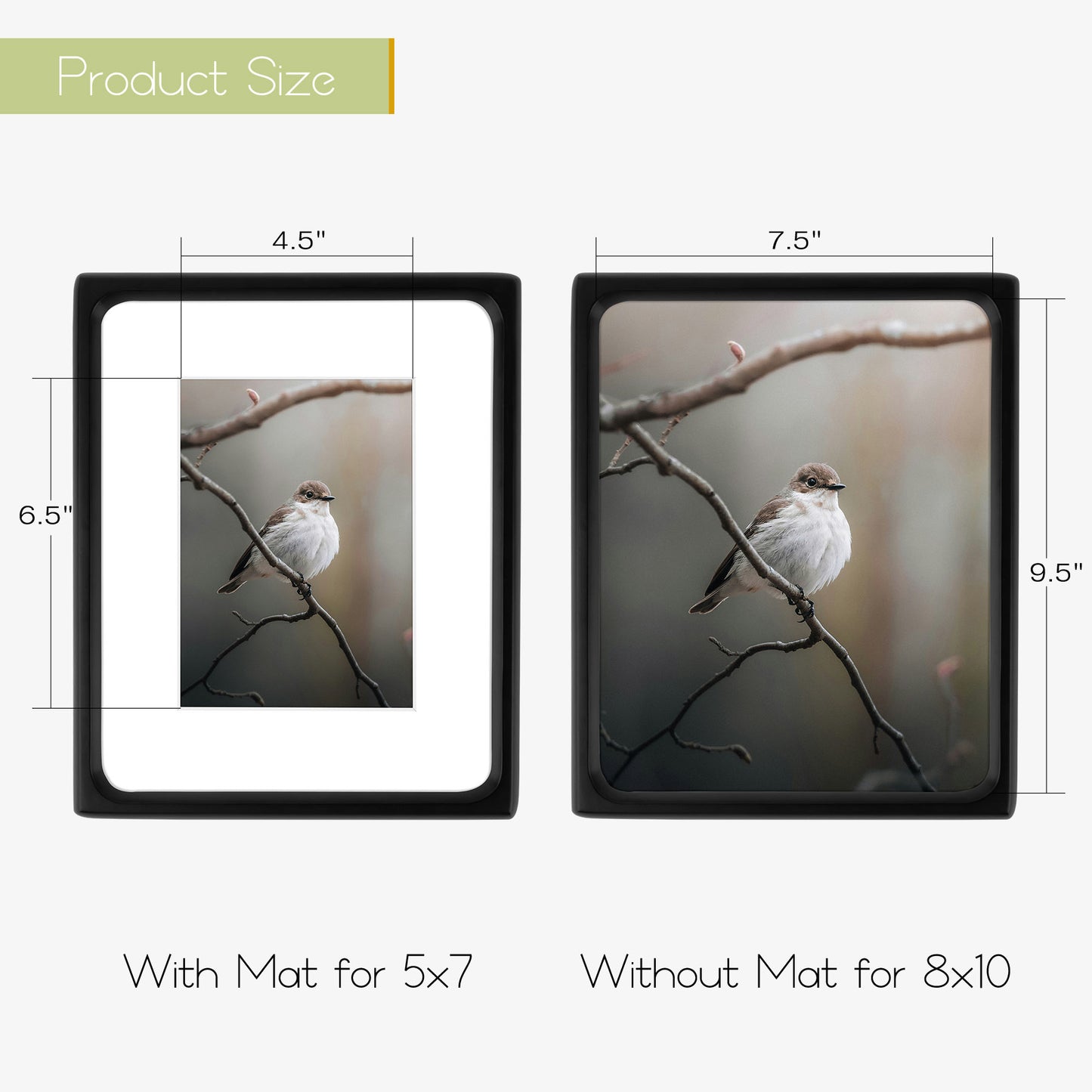 Clearance Rounded Corner 8x10 Wood Picture Frame For 5x7 Photos (6 Pack)