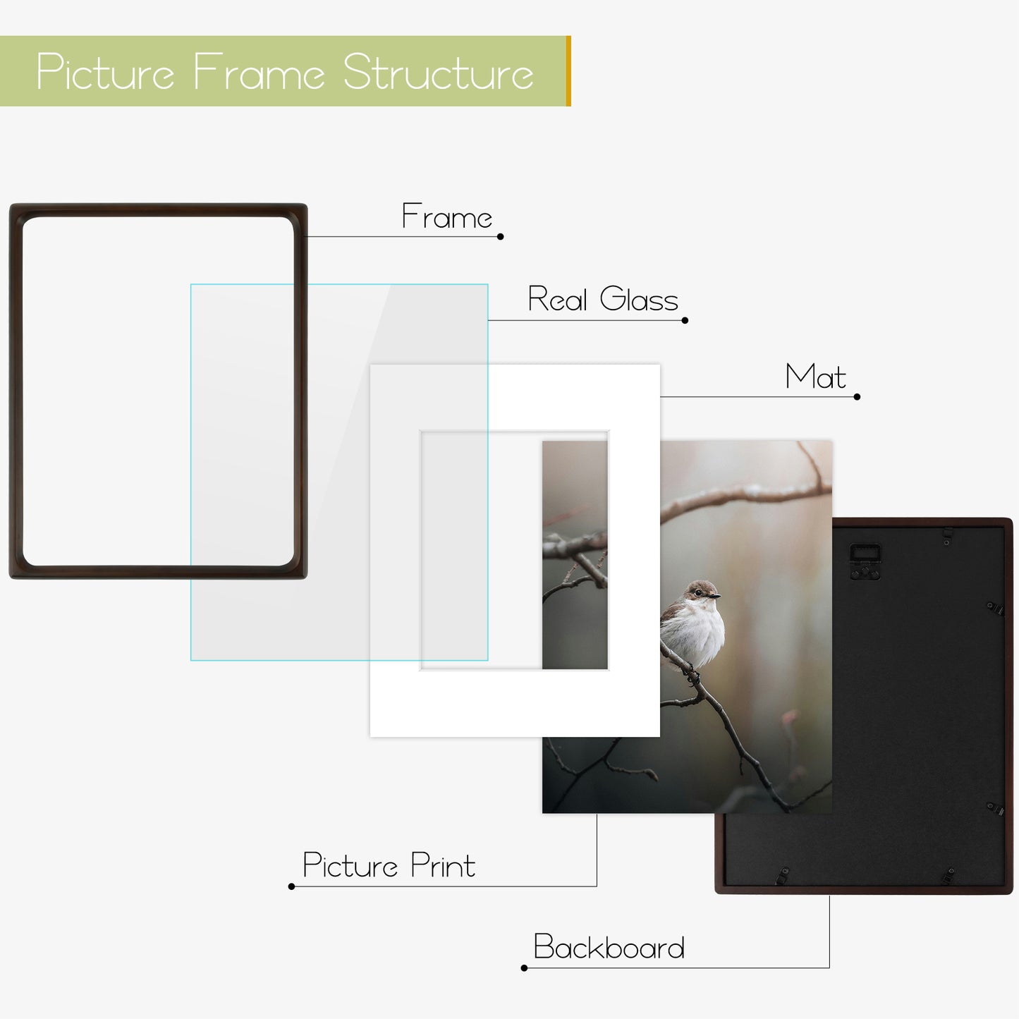 Frametory,Rounded Corner 11x14 Wood Frames For 8x10 Photos (6 Pack)